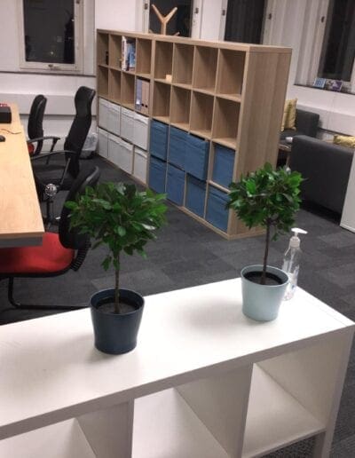 Clean Office